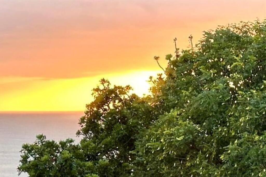 Sea View Sun Centre Plettenberg Bay Exterior foto